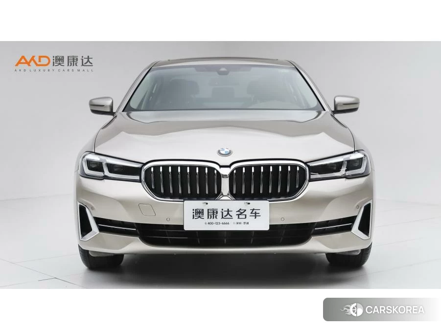 BMW 5 series 2021 Шампань из Китая, фото 4