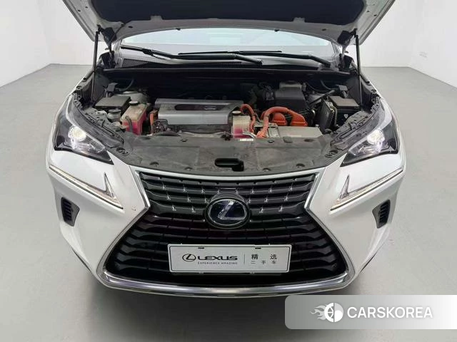 Lexus NX id 4298286 из Китая 12