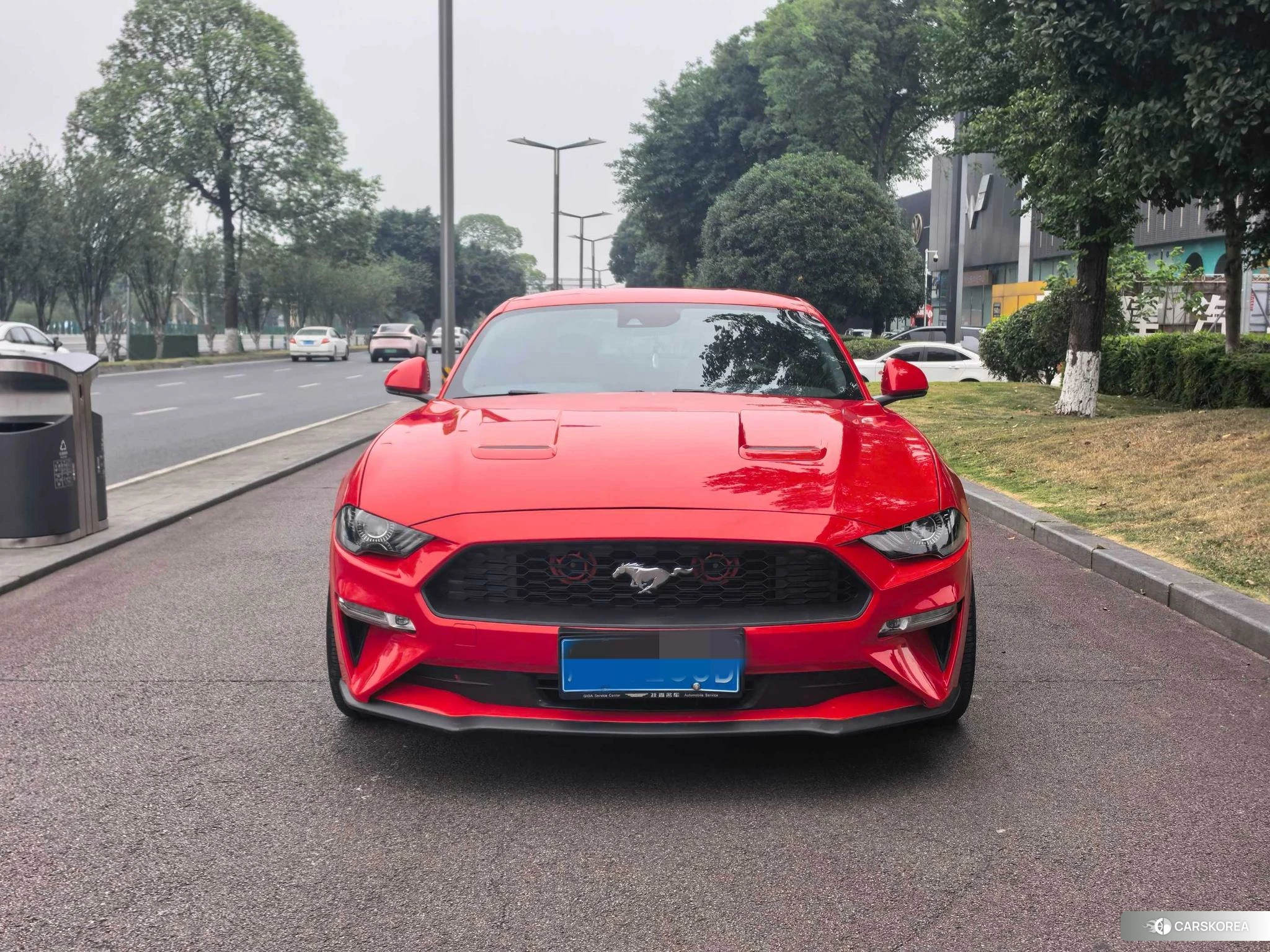 Ford Mustang id 4487485 из Китая 10