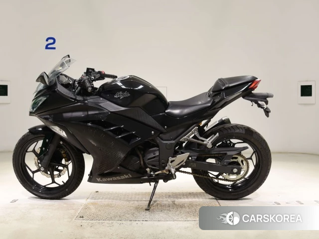 Kawasaki NINJA 250 2015 из Японии