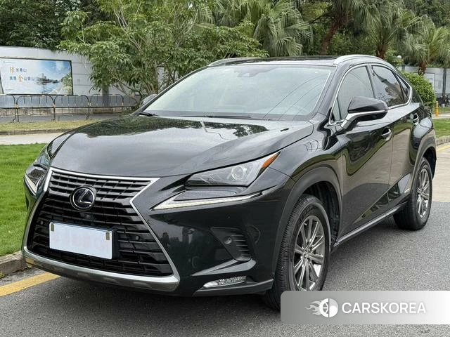 Lexus NX id 4329211 из Китая 8
