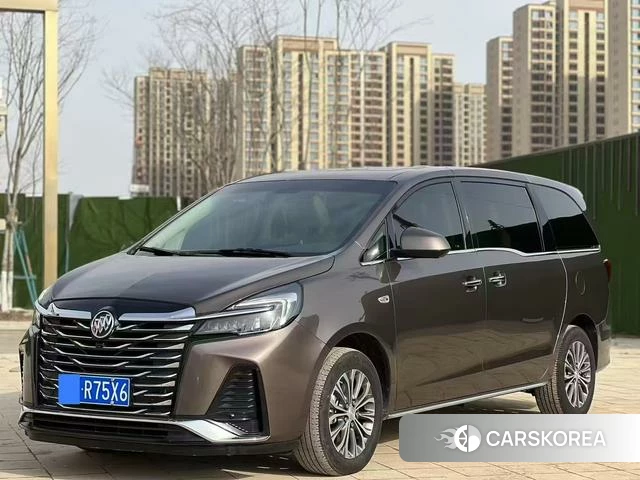 Buick GL8 2023 Коричневый из Китая, фото 4