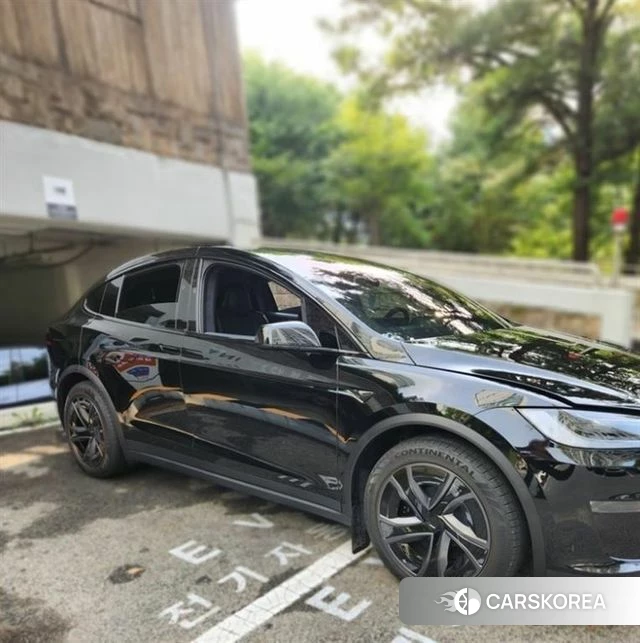 Tesla Model X 2026 Черный из Кореи, фото 4