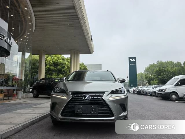 Lexus NX id 4348948 из Китая 11
