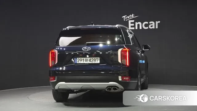 Hyundai Palisade id 3060093 из Кореи 14