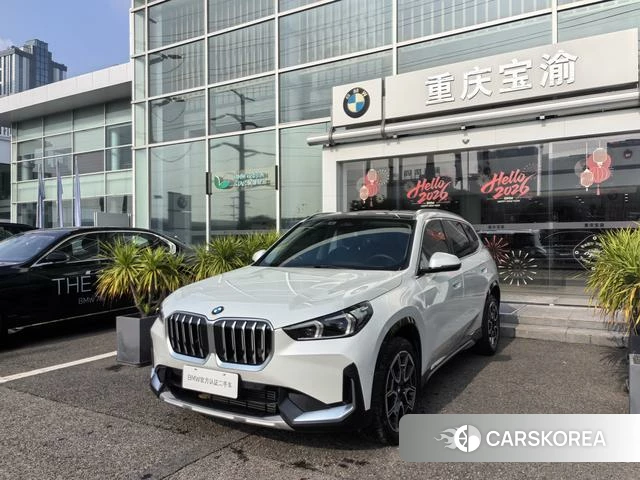 BMW X1 id 4273080 из Китая 10