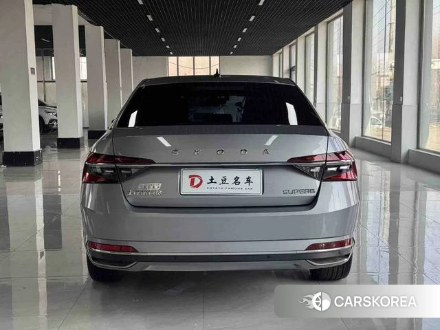 Skoda Speed pie id 3983465 из Китая 13