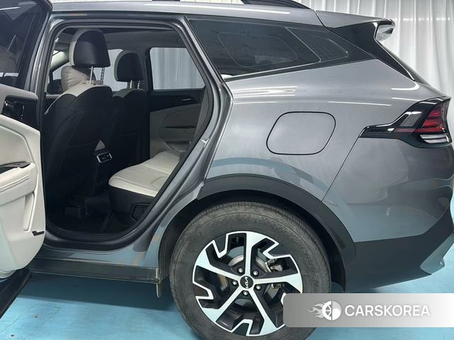 Kia Lion Platinum expands the world id 4277449 из Китая 14