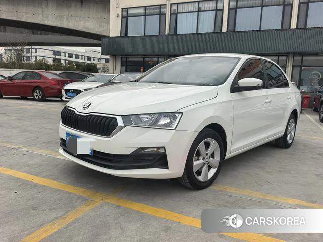 Skoda Xin Rui 2021 Белый из Китая, фото 4