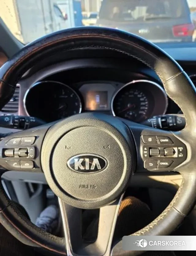 Kia The New Carnival 2018 Белый из Кореи, фото 4