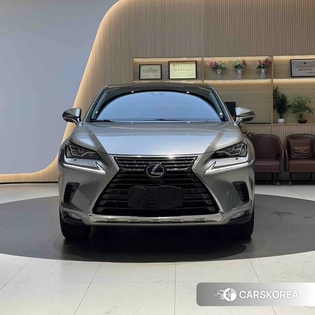 Lexus NX id 4221707 из Китая 24