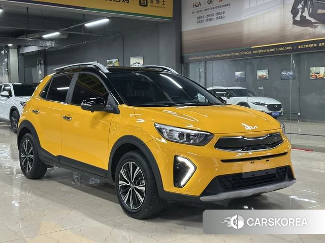 Kia Yi Ran id 4278474 из Китая 9