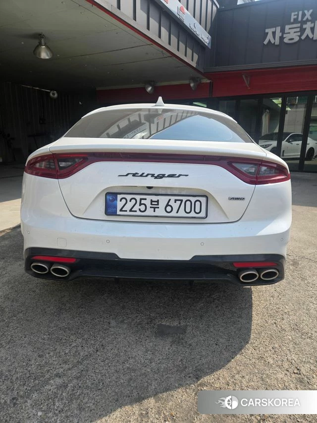 Kia Stinger 2020 Белый из Кореи, фото 5
