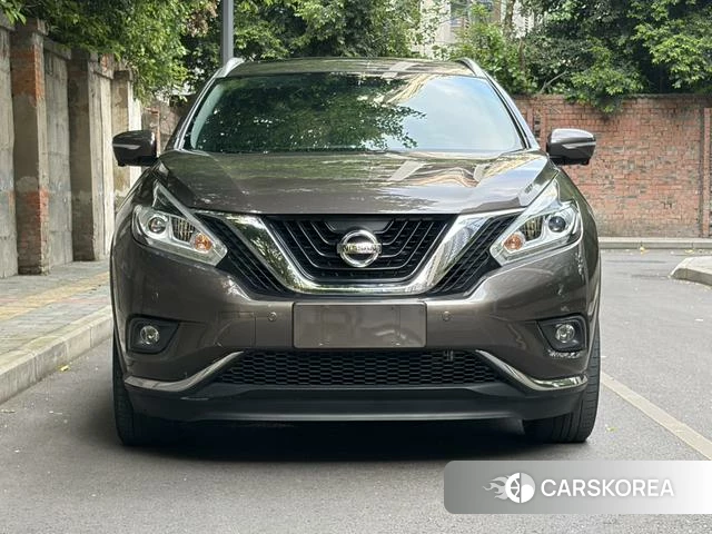 Nissan Loulan id 4213813 из Китая 15