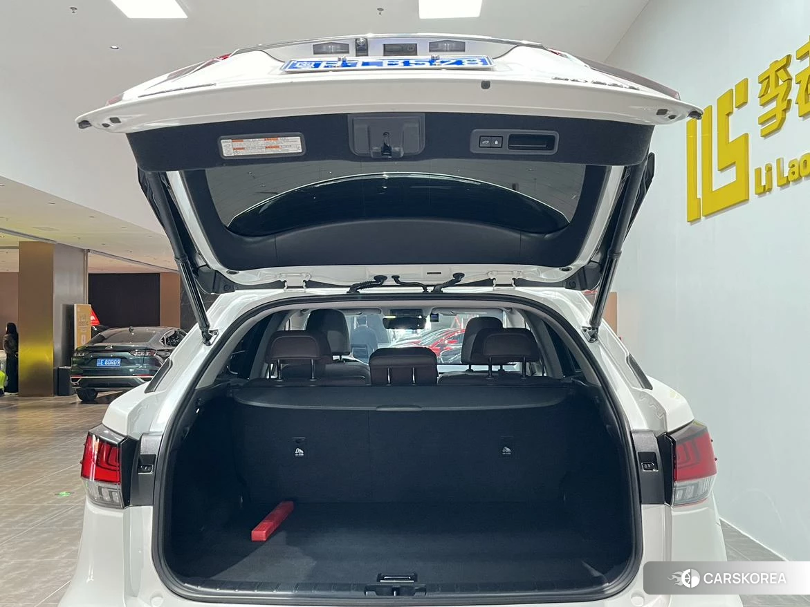 Lexus RX id 4485375 из Китая 24