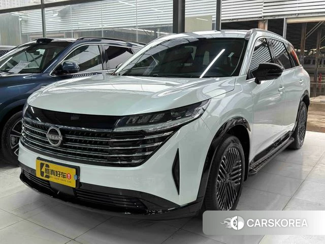 Nissan Exploring the land id 4272398 из Китая 17