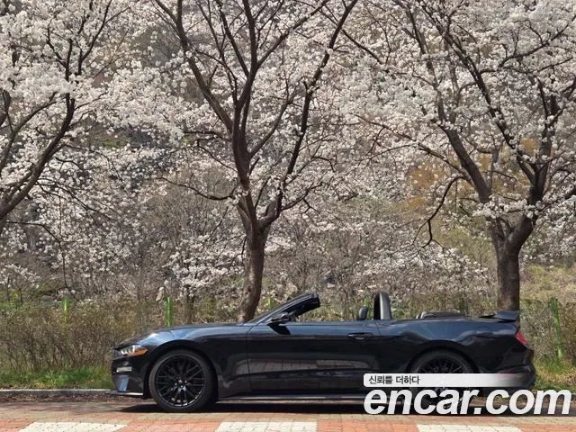 Ford Mustang id 2928467 из Кореи 14