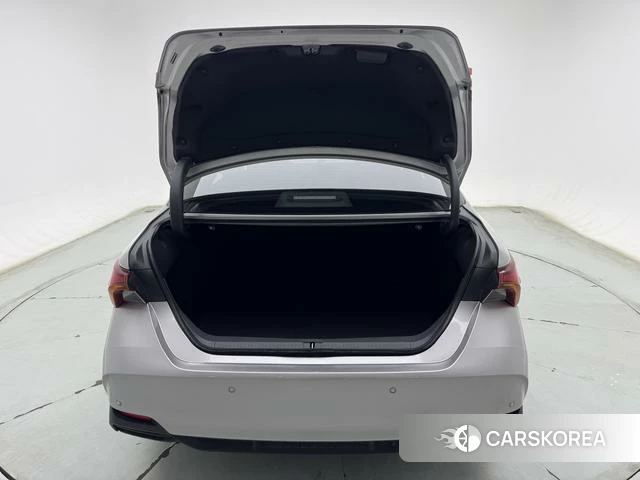 Toyota Asian dragon id 4257573 из Китая 22