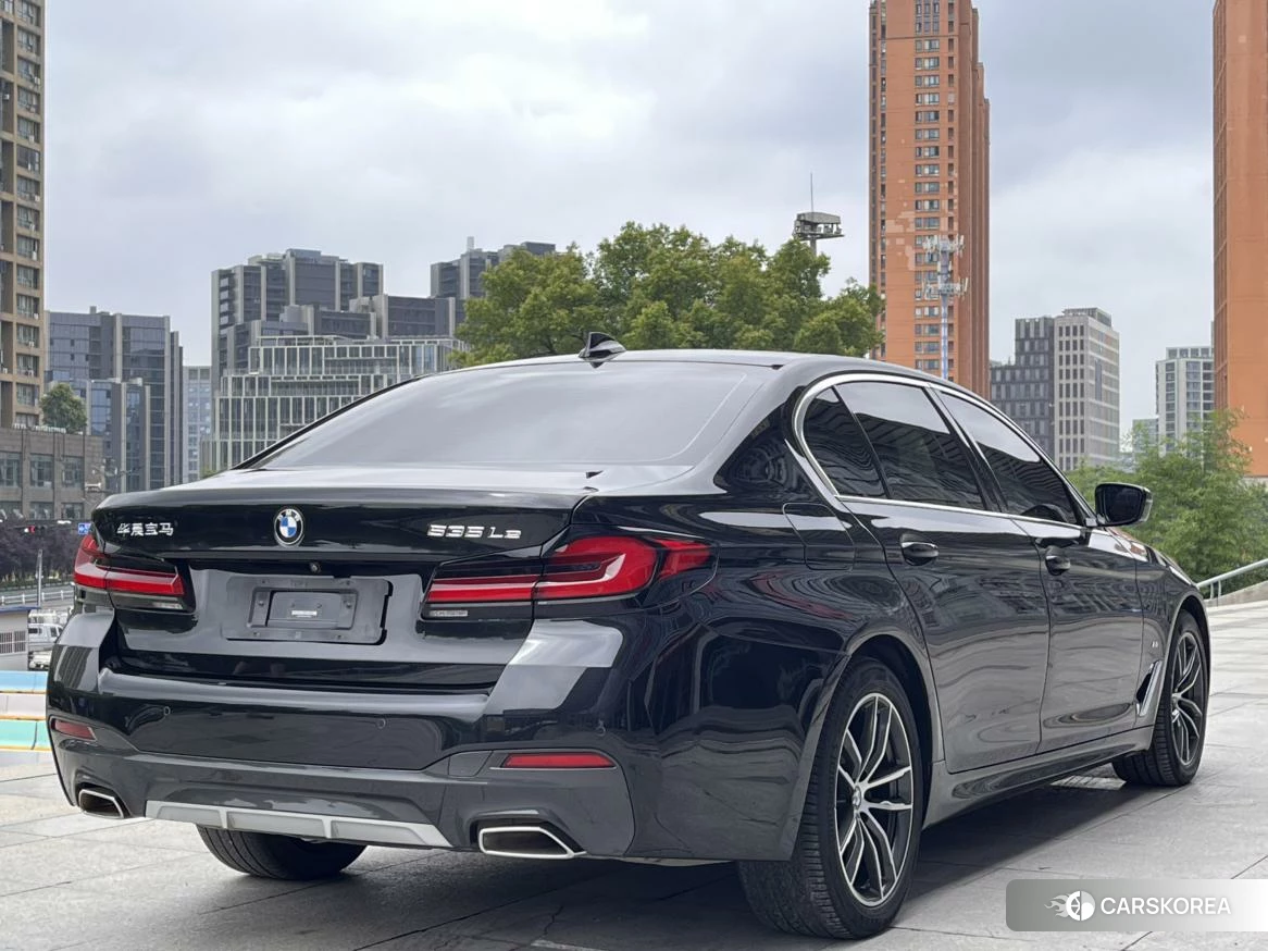 BMW 5 series PHEV id 4454143 из Китая 14
