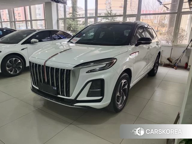 Red flag HS3 2024 Белый из Китая, фото 4