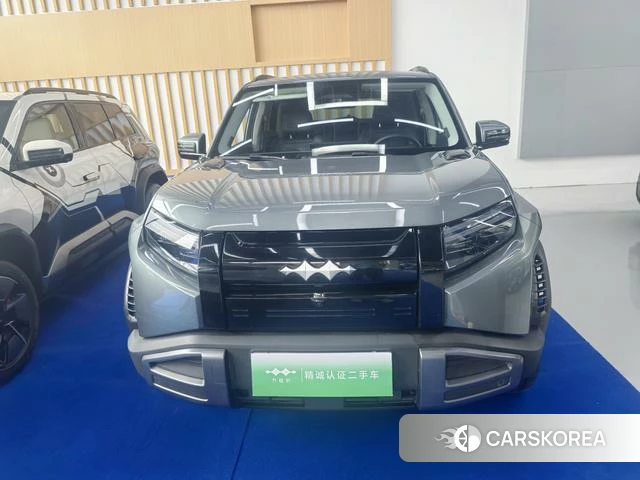 Leopard Titanium 3 id 3968829 из Китая 15