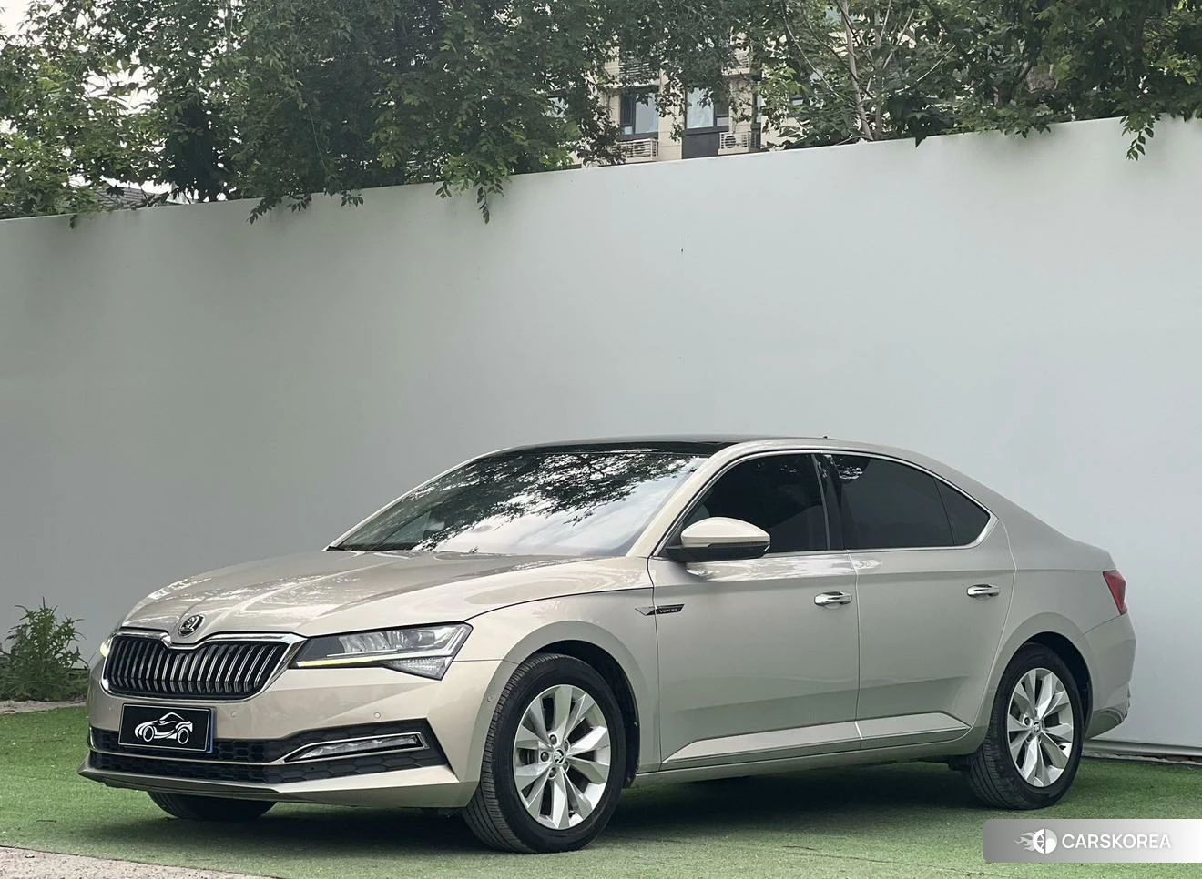 Skoda Speed pie 2021 Шампань из Китая, фото 4