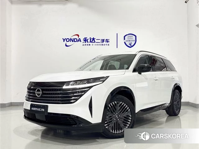 Nissan Exploring the land id 4276250 из Китая 11