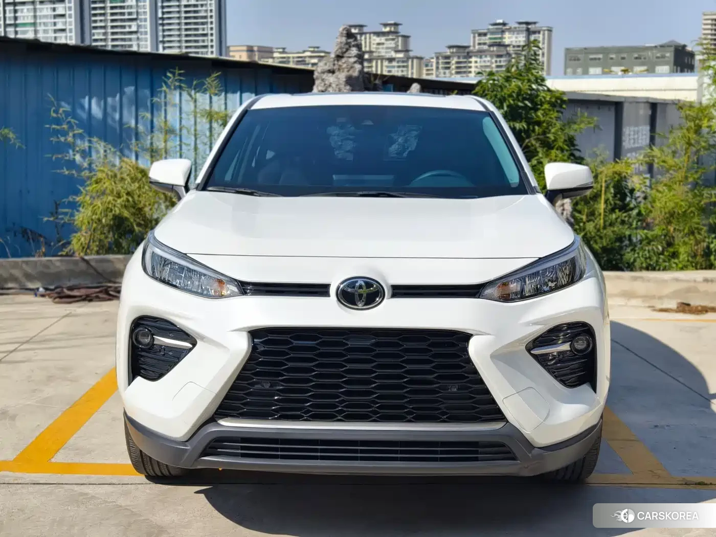 Toyota Wildlander id 4628214 из Китая 26