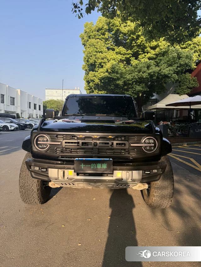 Ford Lie Ma 2023 Черный из Китая, фото 4
