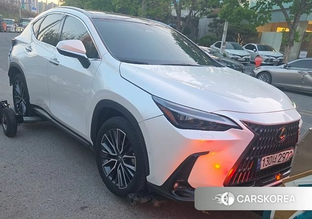 Lexus NX350h Second generation 2023 Белый из Кореи, фото 4