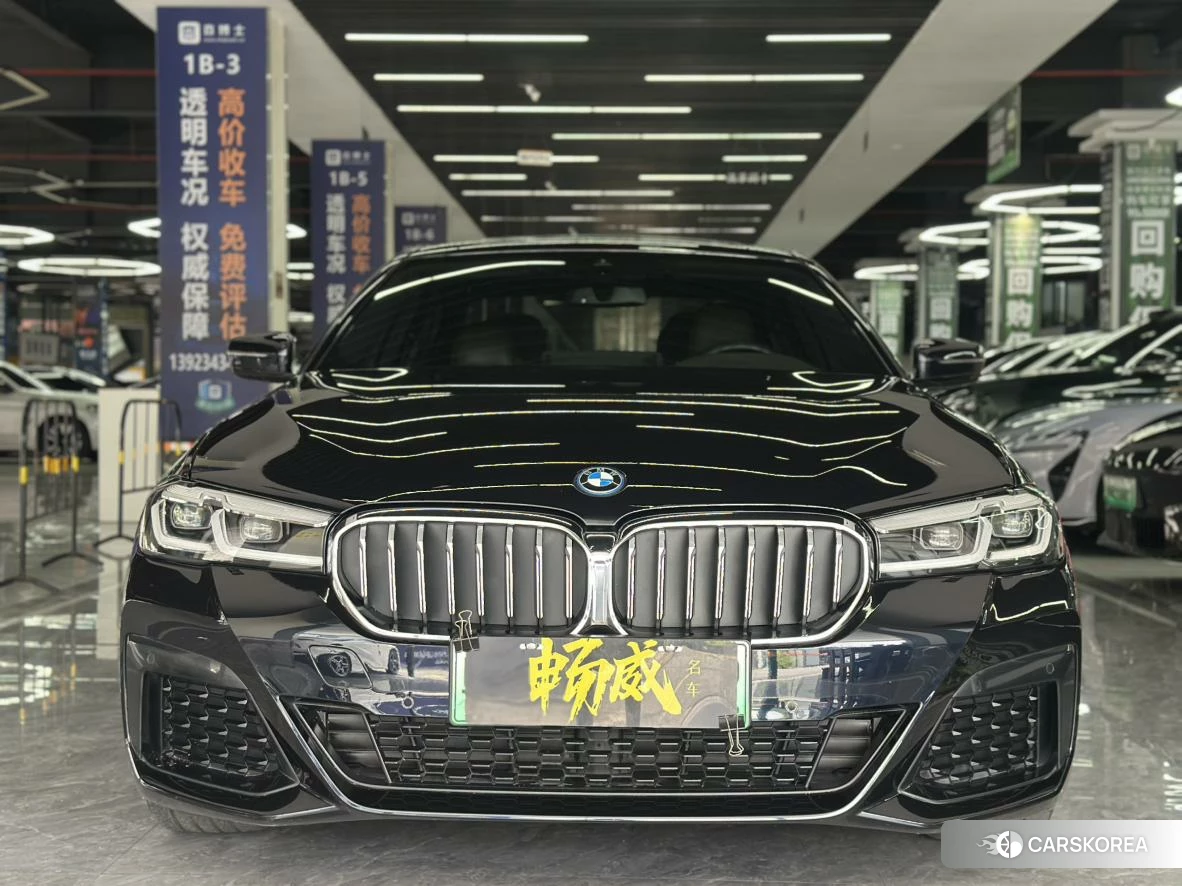 BMW 5 series PHEV id 4493308 из Китая 10