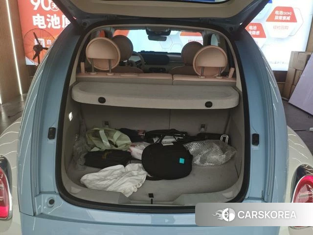 Euler Ballet cat 2022 Синий из Китая, фото 4