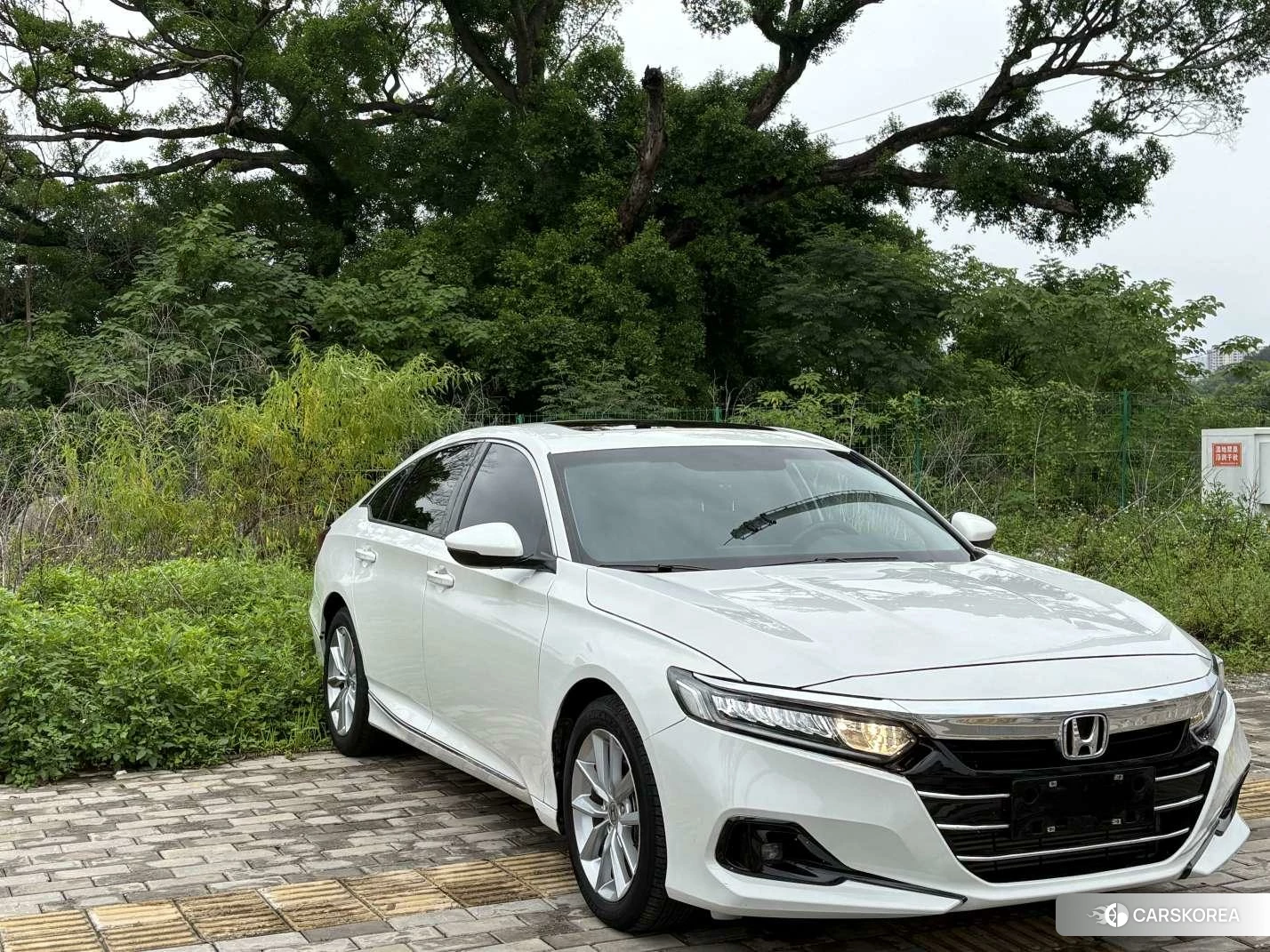 Honda Accord 2021 Белый из Китая, фото 4