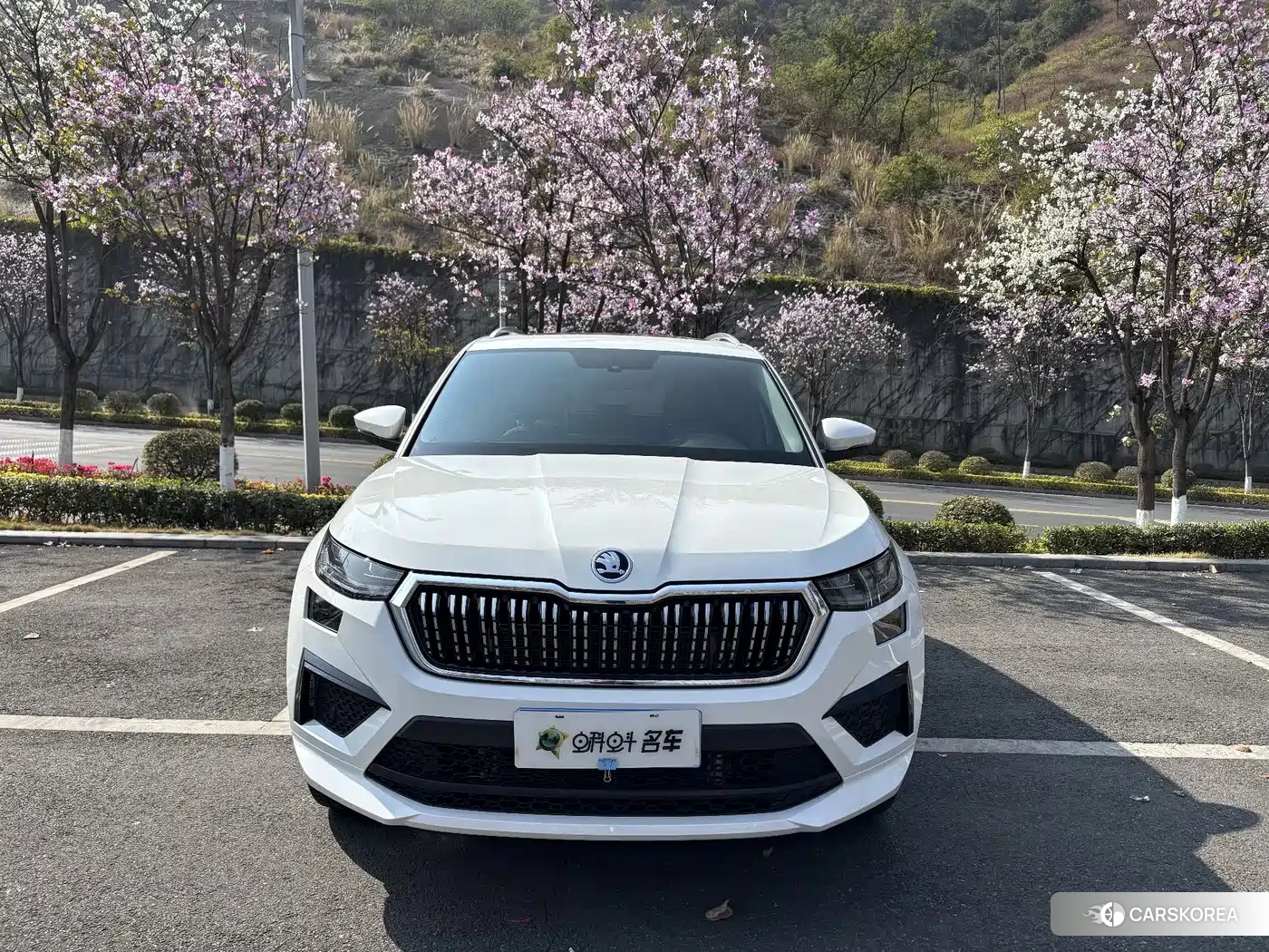 Skoda Kodiak id 4545945 из Китая 10