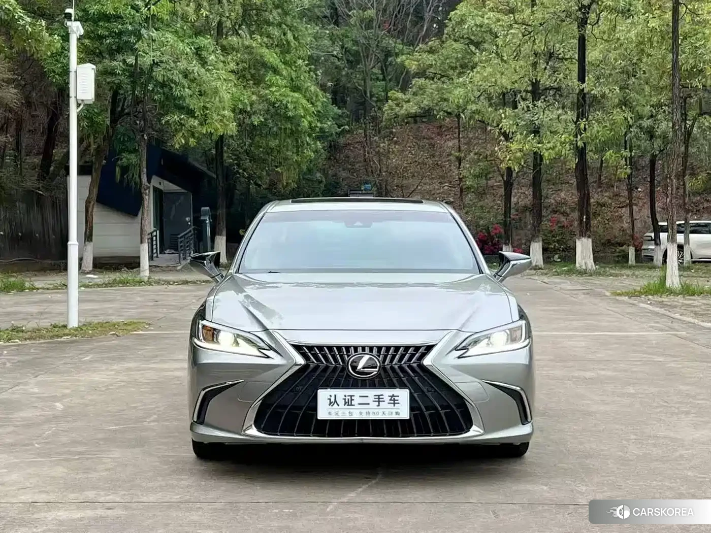 Lexus ES 2022 Silver/gray из Китая, фото 4