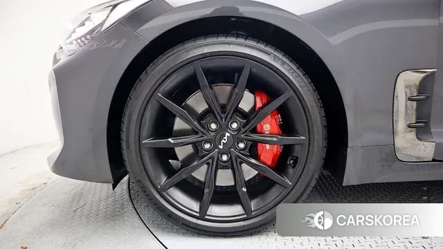 Kia Stinger Meister id 3002623 из Кореи 14