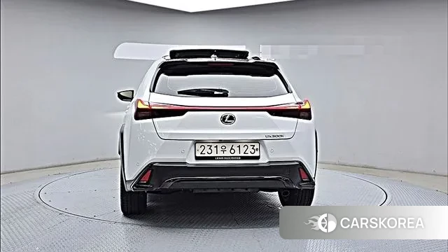 Lexus UX300h id 3624397 из Кореи 14