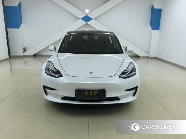 Tesla Model 3 (imported) 2019 Белый из Китая, фото 4