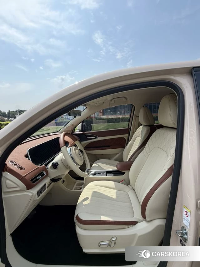 Euler Good cat id 3957813 из Китая 10