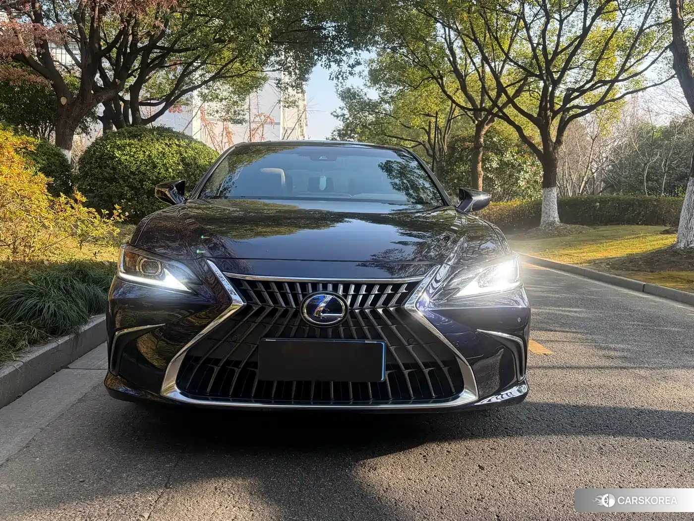 Lexus ES 2022 Синий из Китая, фото 6