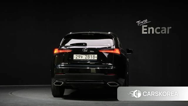 Lexus NX300 id 4225555 из Кореи 27