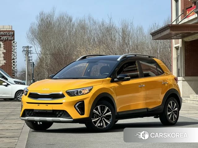 Kia Yi Ran id 4208908 из Китая 24
