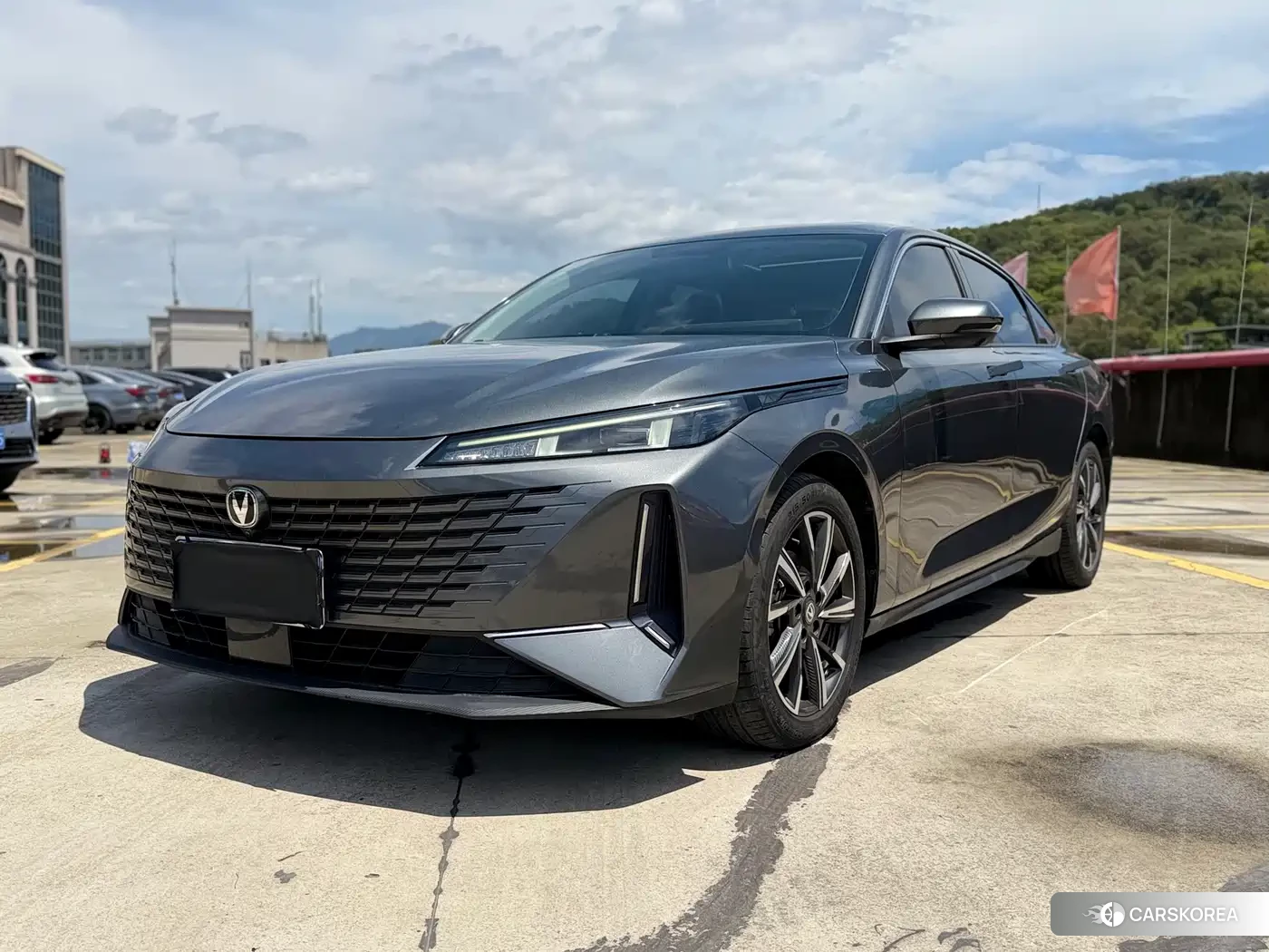 Chang'an Yida id 4545815 из Китая 8