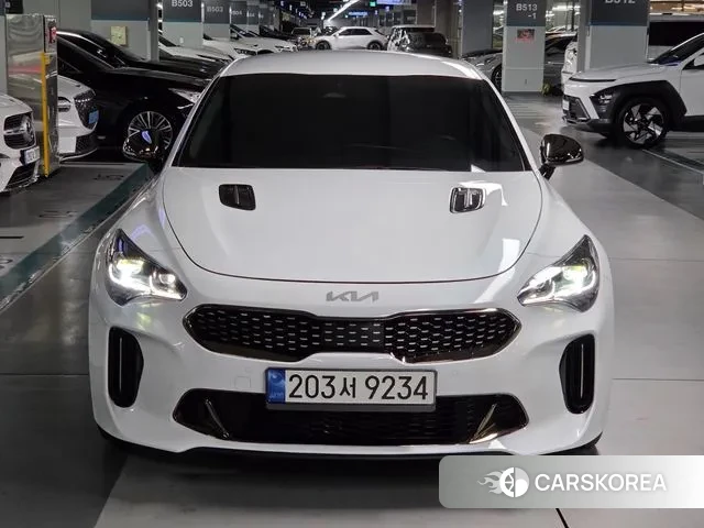 Kia Stinger Meister id 3777024 из Кореи 14