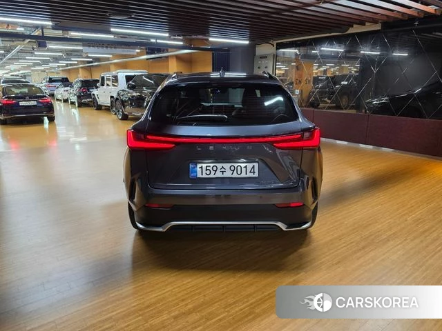 Lexus NX450h + 2nd generation id 4493536 из Кореи 12