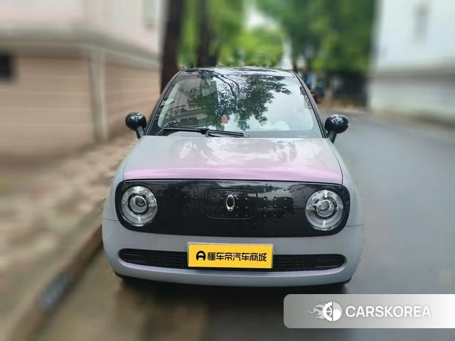 Euler Black cat 2019 Белый из Китая, фото 4