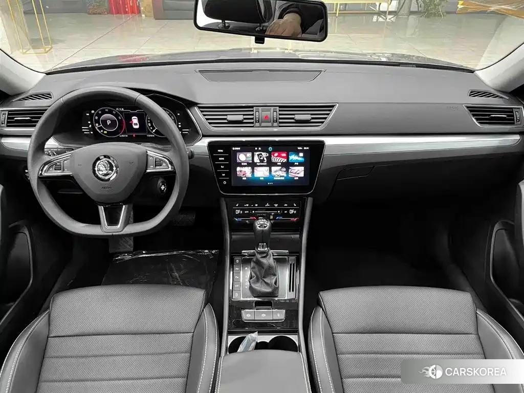 Skoda Speed pie id 4515552 из Китая 19