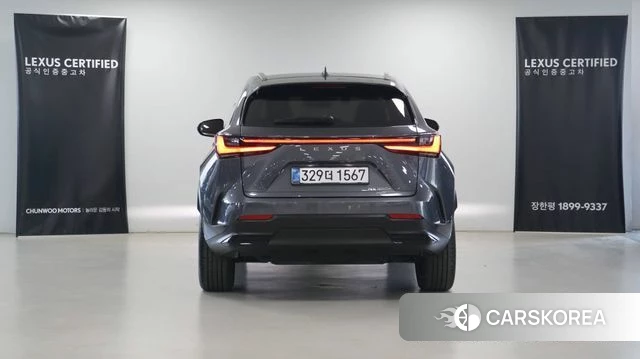 Lexus NX350h Second generation id 4248252 из Кореи 11