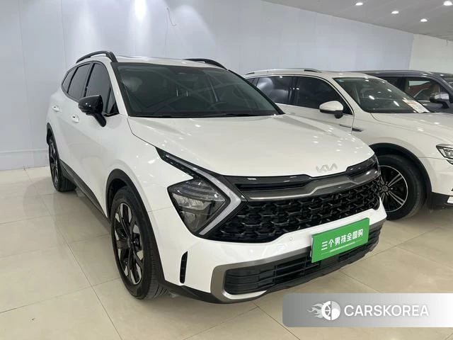 Kia Lion Platinum expands the world 2023 Белый из Китая, фото 6
