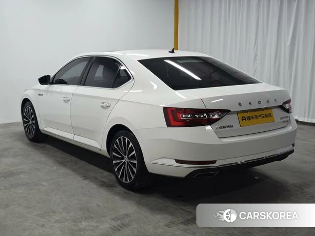 Skoda Speed pie id 4212782 из Китая 14